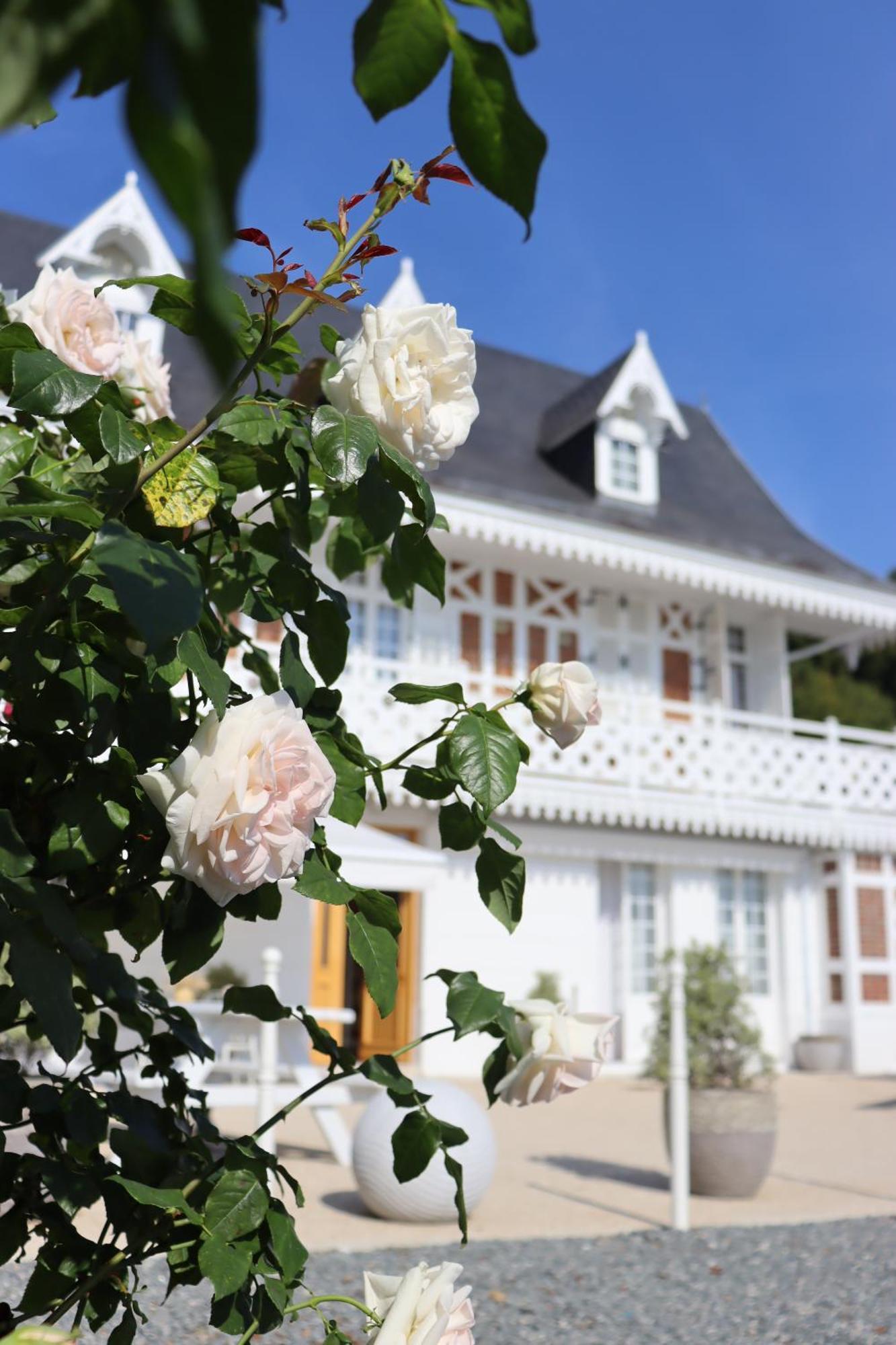 White House, Maison D'Hotes Villequier Kültér fotó